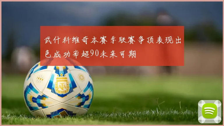 武什科维奇本赛季联赛争顶表现出色成功率超90未来可期