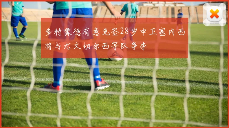 多特蒙德有意免签28岁中卫塞内西将与尤文切尔西等队争夺